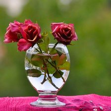 ваза с розами