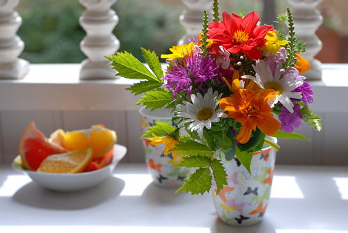 утренние цветы - утро, ваза, цветы - оригинал