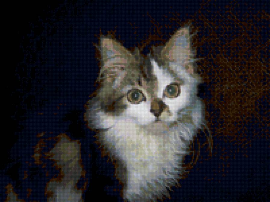 Мурка - коты - предпросмотр