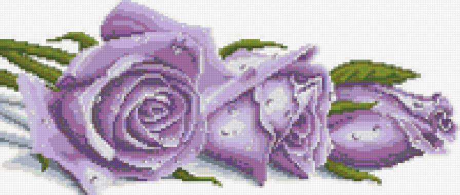 розы 2 - цветы - предпросмотр