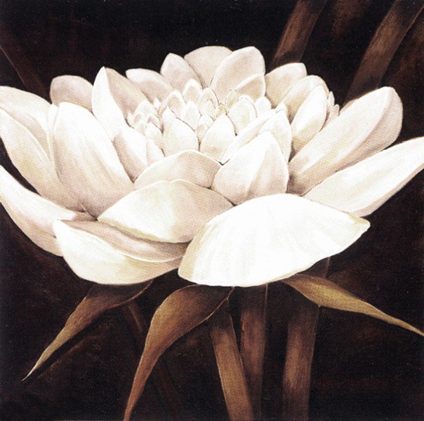 Белый цветок - цветок, для подушки, хризантема - оригинал