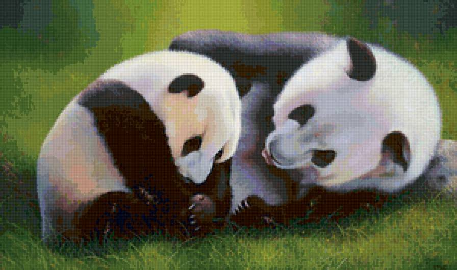 Панда - предпросмотр