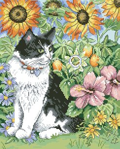 №3038 - животное, подсолнух, цветы, кошка, кот - оригинал