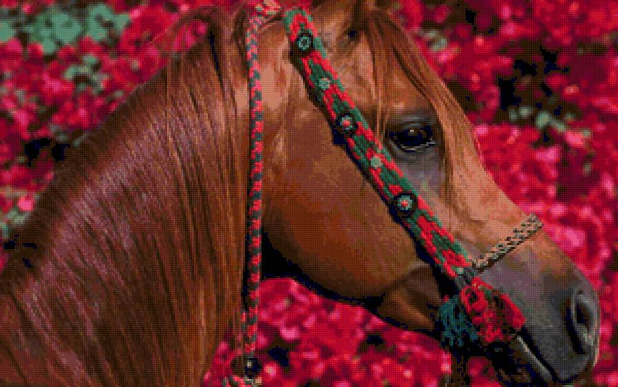 №3173 - животные - предпросмотр