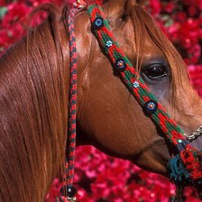 Схема вышивки «№3173»