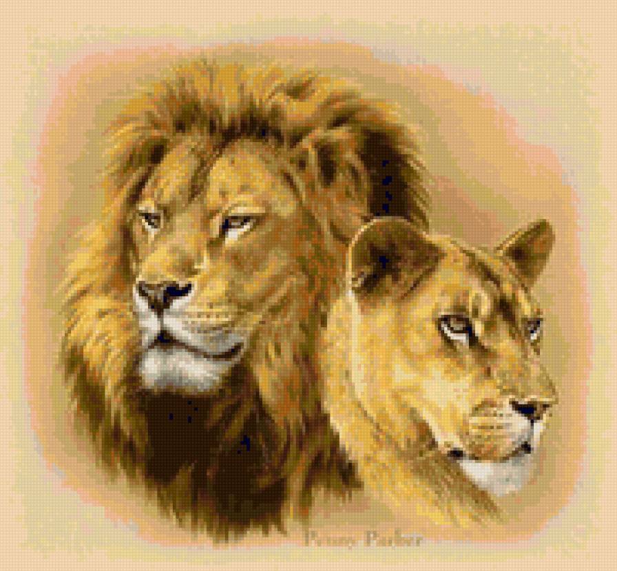 львы - хищник, лев, животные - предпросмотр