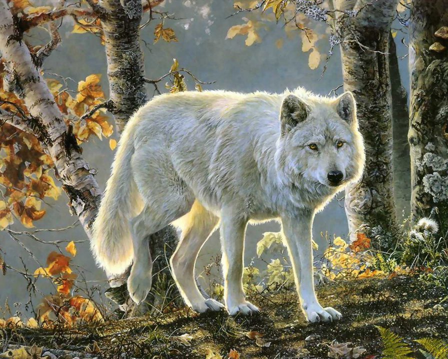Волк - живопись, животные, пейзаж, волк - оригинал