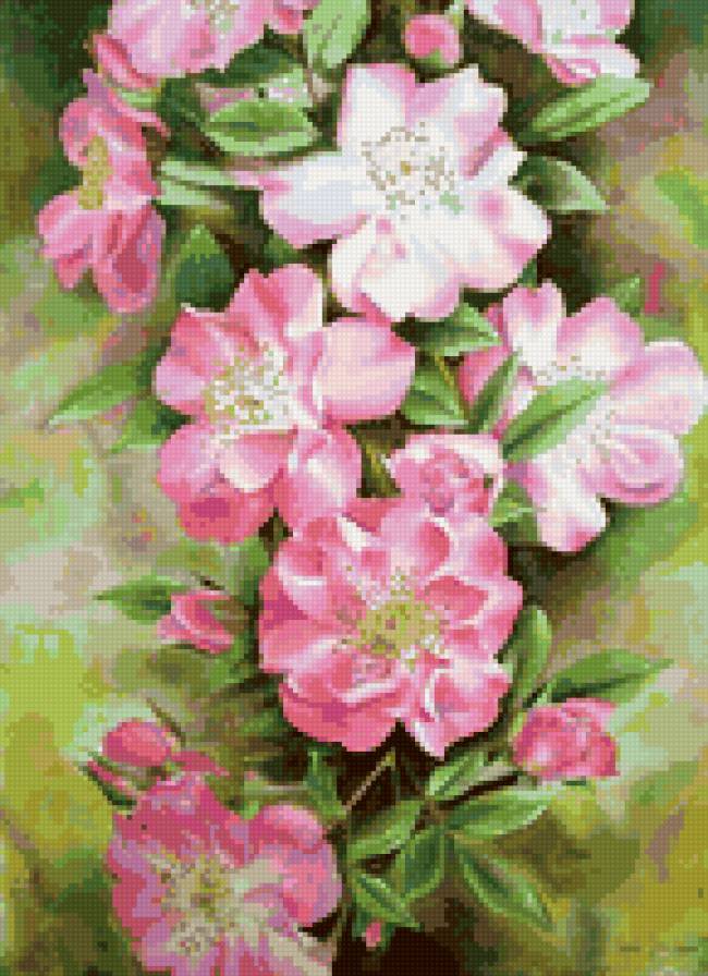 №3245 - предпросмотр