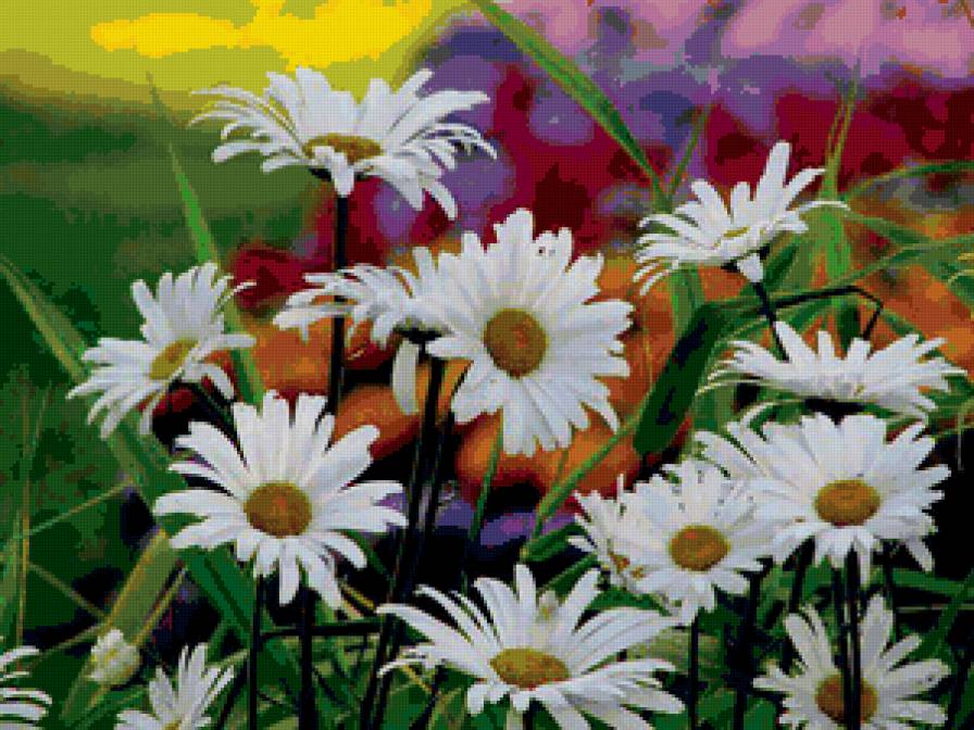 №3685 - предпросмотр