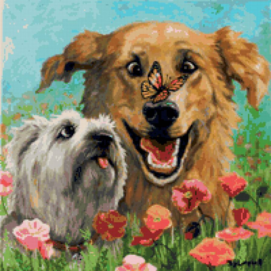 Собаки и бабочка - собаки, природа, цветы, собака, собачки, два друга, бабочка - предпросмотр