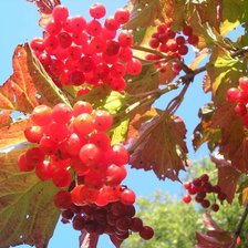 Схема вышивки «№3924»