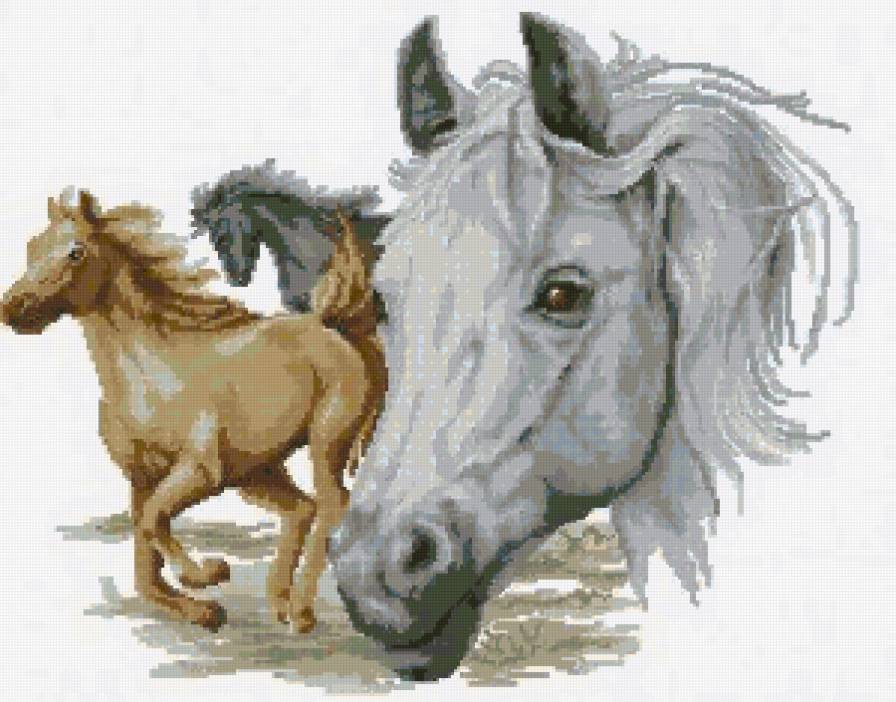 №4006 - предпросмотр