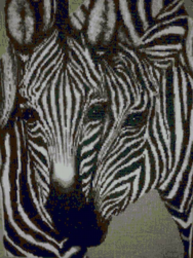 №4029 - предпросмотр