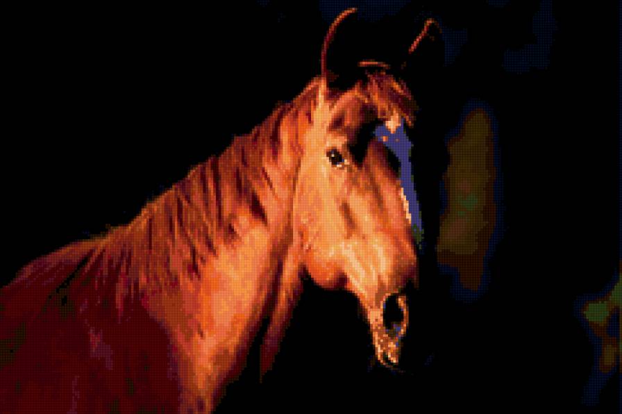 №4087 - лошади - предпросмотр