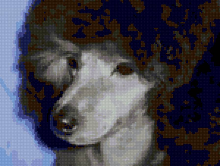 Щенок серебристого пуделя - пудель, собака - предпросмотр