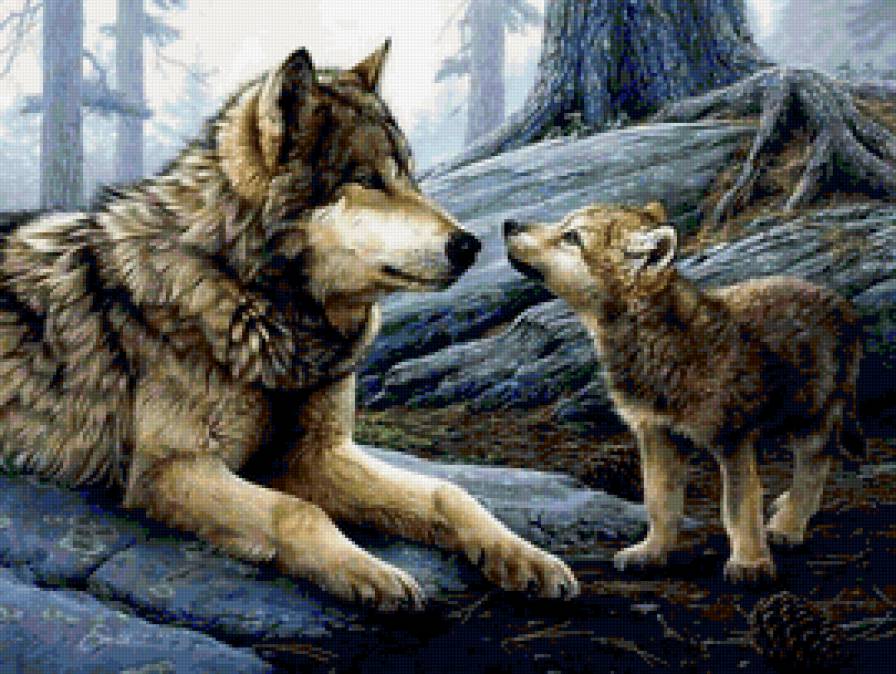 семья - хищник, волчонок, волк, животные, семья, хищники, мама - предпросмотр
