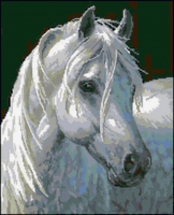 белая лошадь - кони - предпросмотр