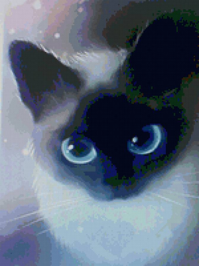 голубые глазки - кошки - предпросмотр