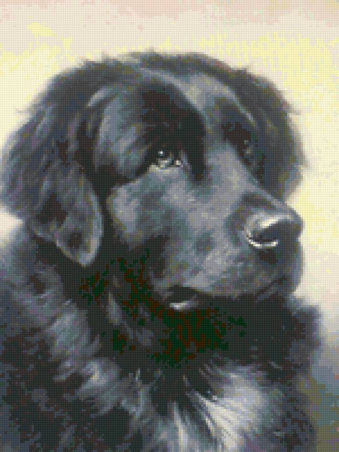 серия"Собаки" - природа, животные - предпросмотр