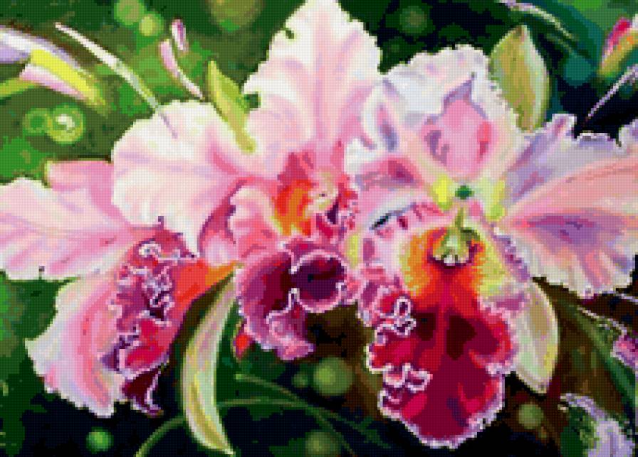 орхидеи - орхидеи, букет, цветы - предпросмотр
