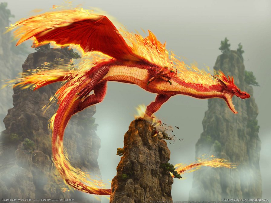 Огненный дракон - миф, фэнтези, животные, дракон - оригинал