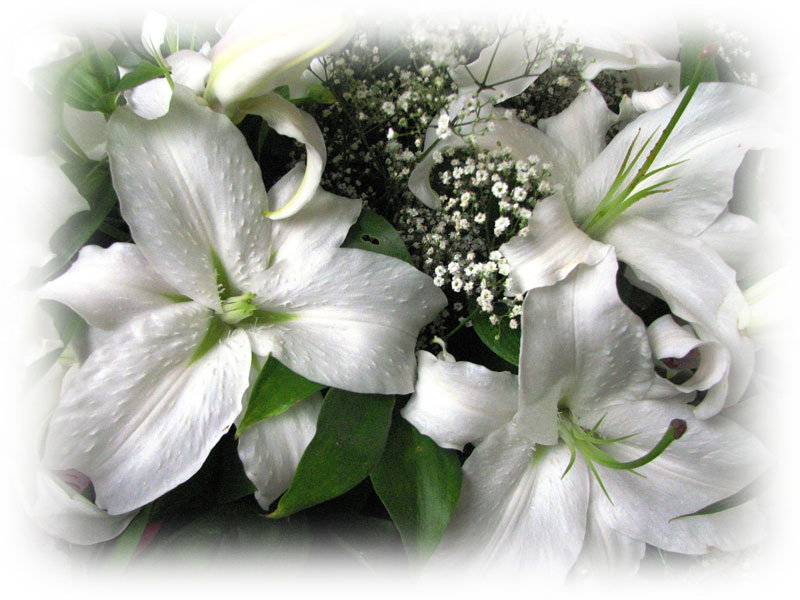 №5143 - оригинал