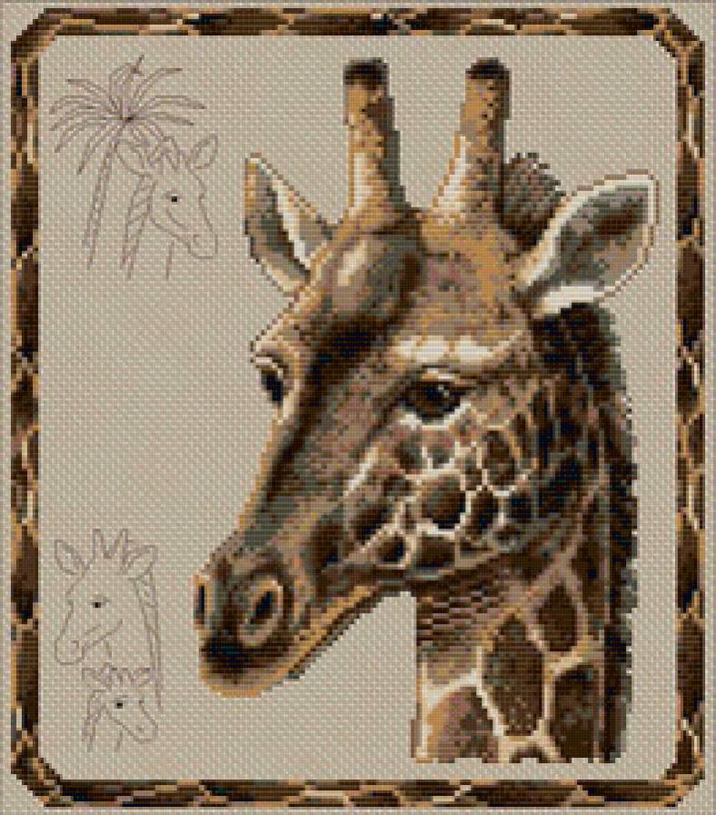 жираф - предпросмотр