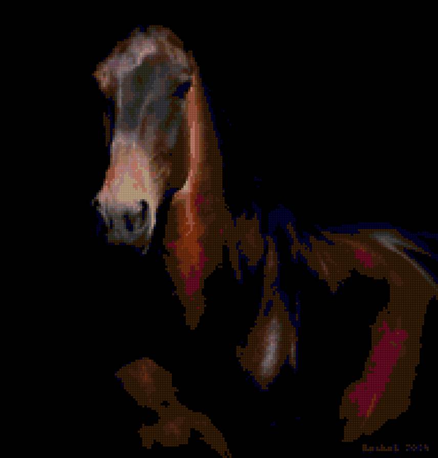 Орловский рысак - предпросмотр