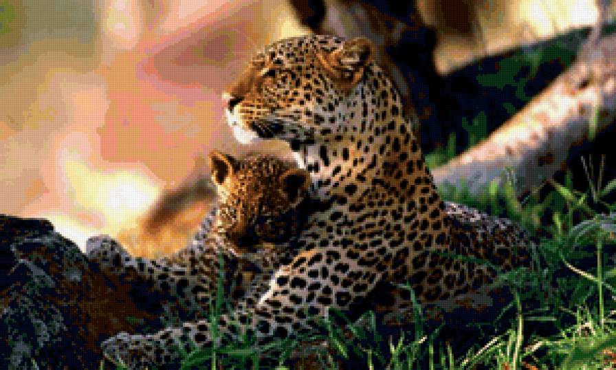 рядом с мамой - леопард, кошки, кошка, семья, хищник, хищники, пара, животные - предпросмотр