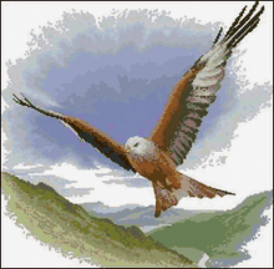 полет - птица, полет, орел, горы - предпросмотр