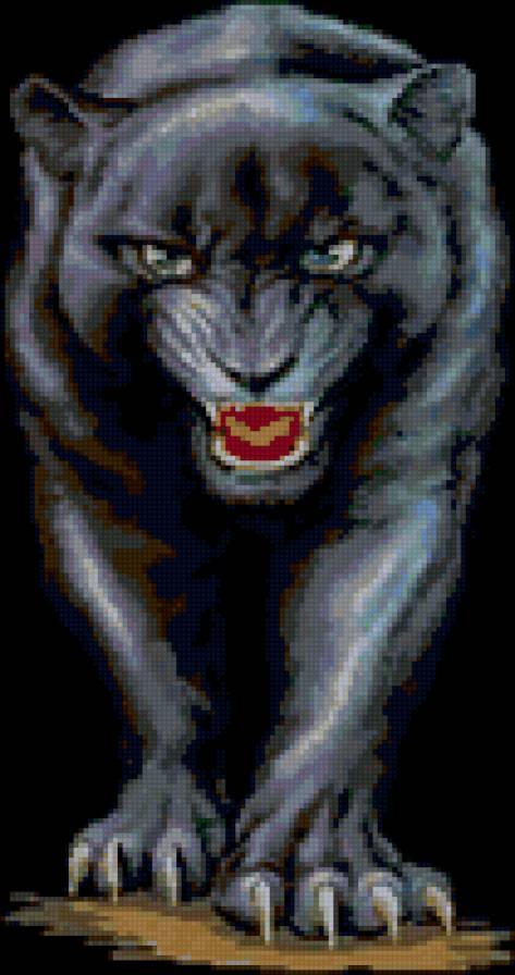 дикая кошка - пантера, дикая кошка, хищник - предпросмотр