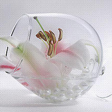 Схема вышивки «№5951»