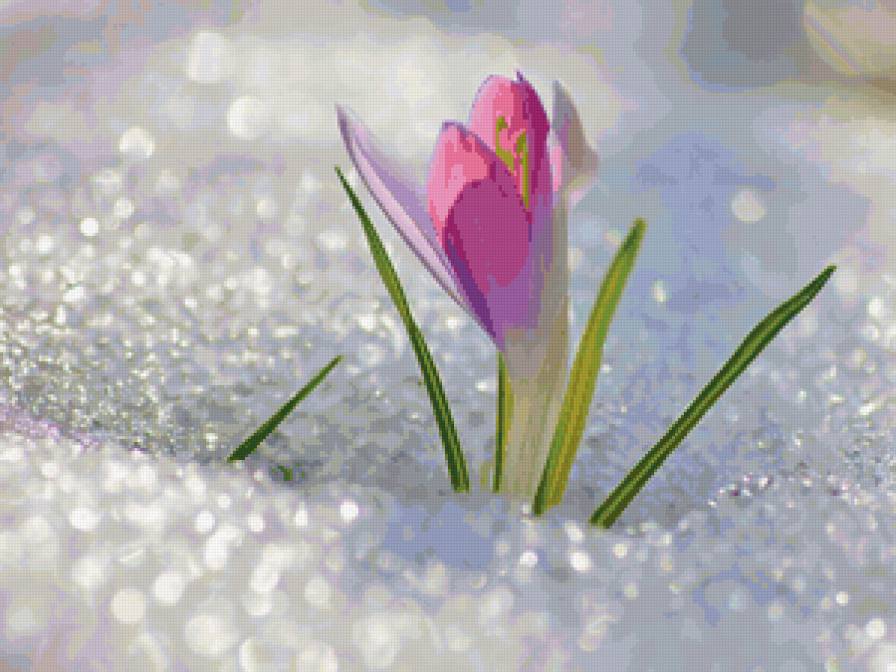 подснежник - предпросмотр