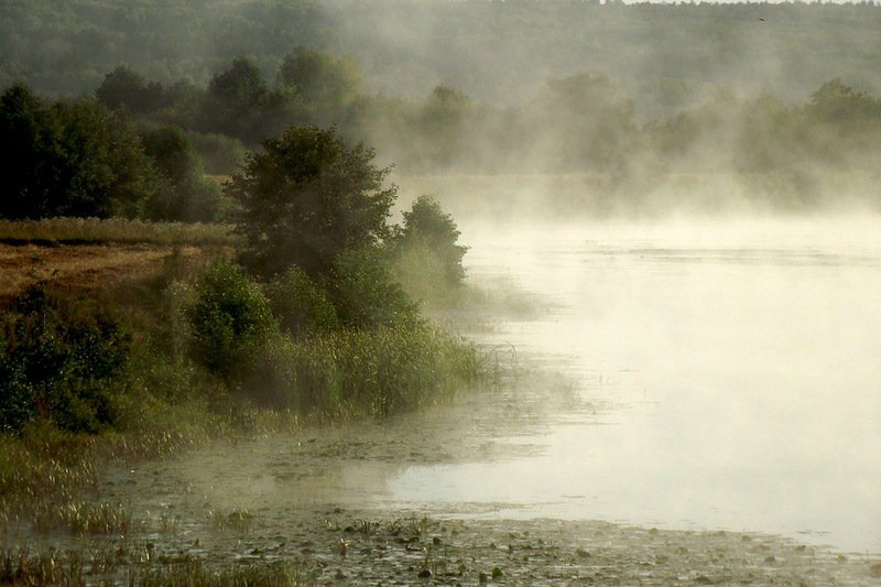 утро - утро, рассвет, река, туман, вода, пейзаж, восход - оригинал