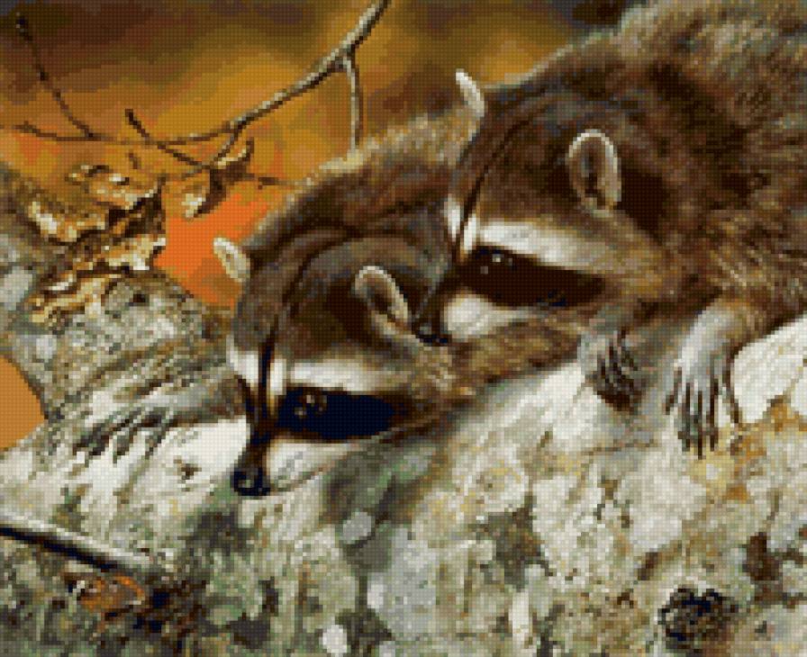 №6215 - предпросмотр