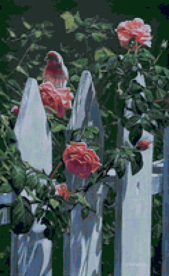 №6239 - предпросмотр