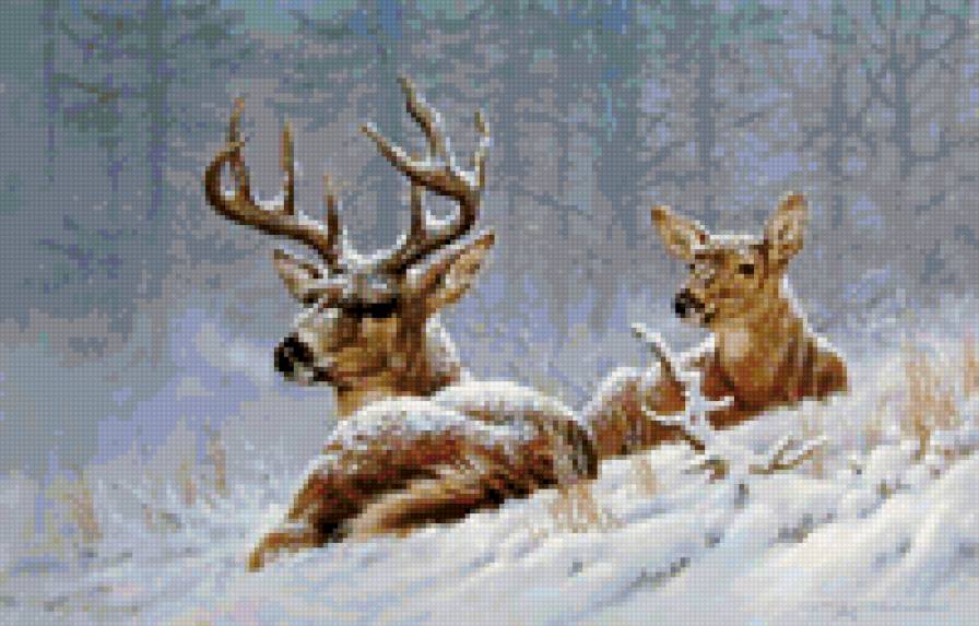 №6264 - предпросмотр