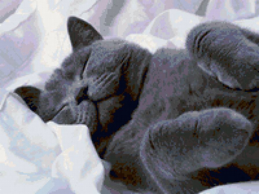 Тишенька - предпросмотр