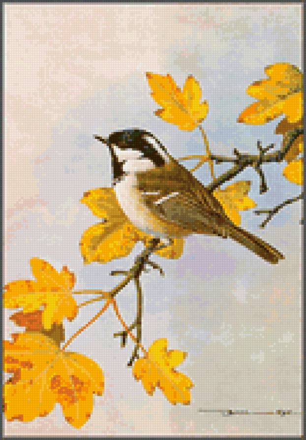 №6393 - предпросмотр