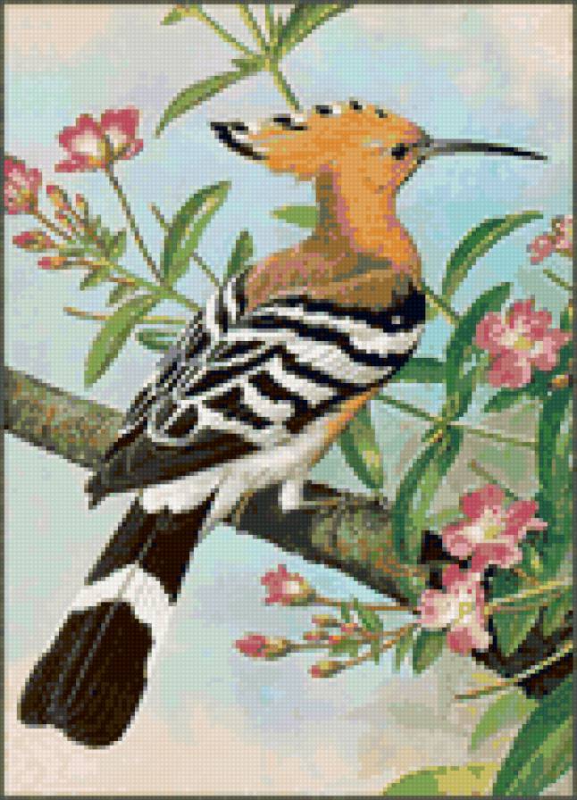 №6408 - предпросмотр