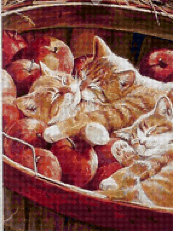яблочки - кошки, природа, животные - предпросмотр