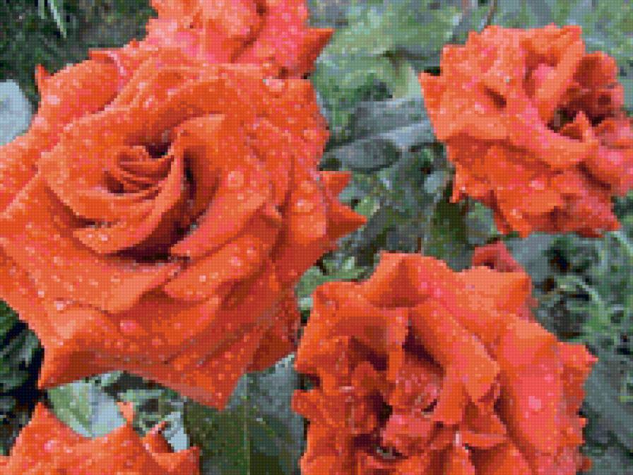 №6625 - предпросмотр