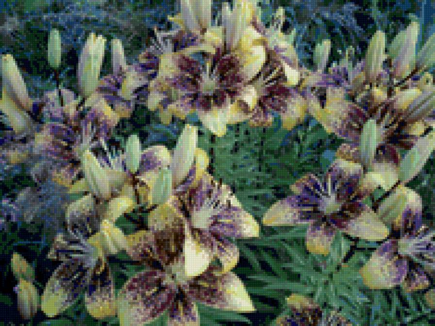 №6628 - предпросмотр