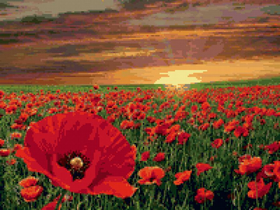 №6640 - предпросмотр