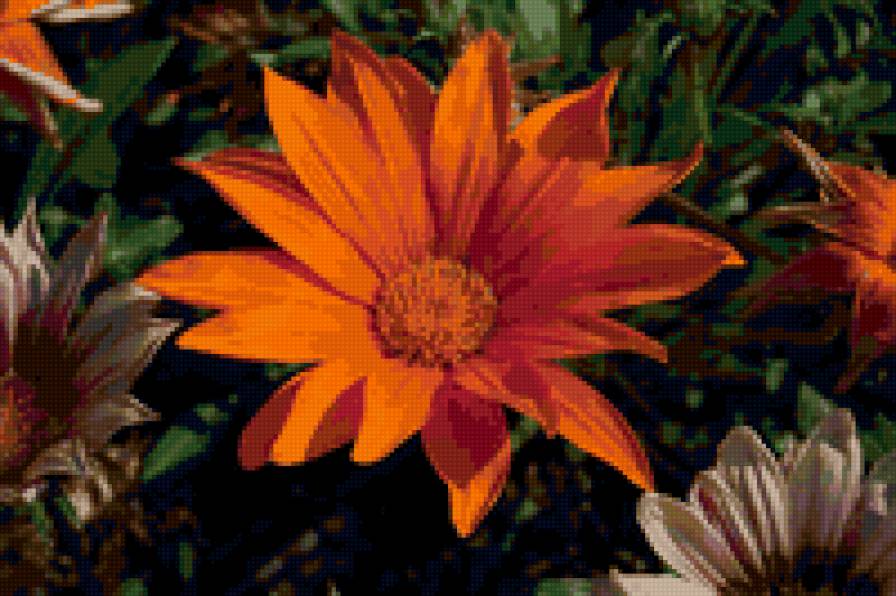 №6655 - предпросмотр