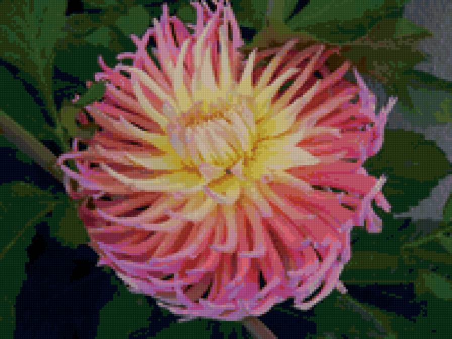 №6656 - предпросмотр