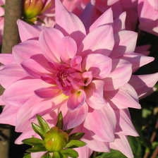 Схема вышивки «№6674»