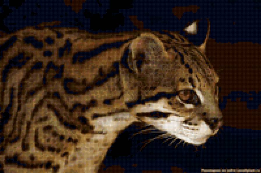 №6694 - предпросмотр