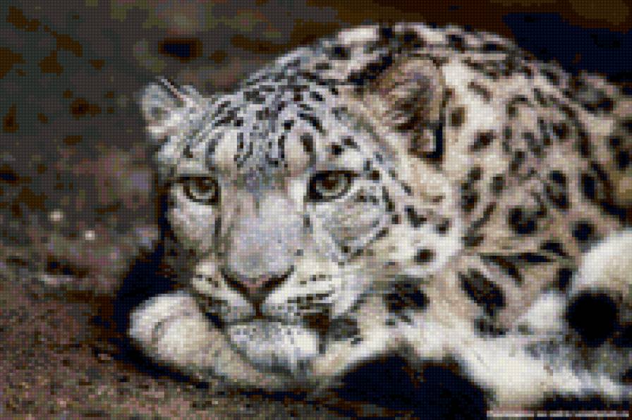 №6698 - предпросмотр