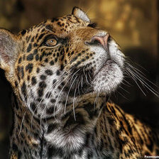 Схема вышивки «№6712»